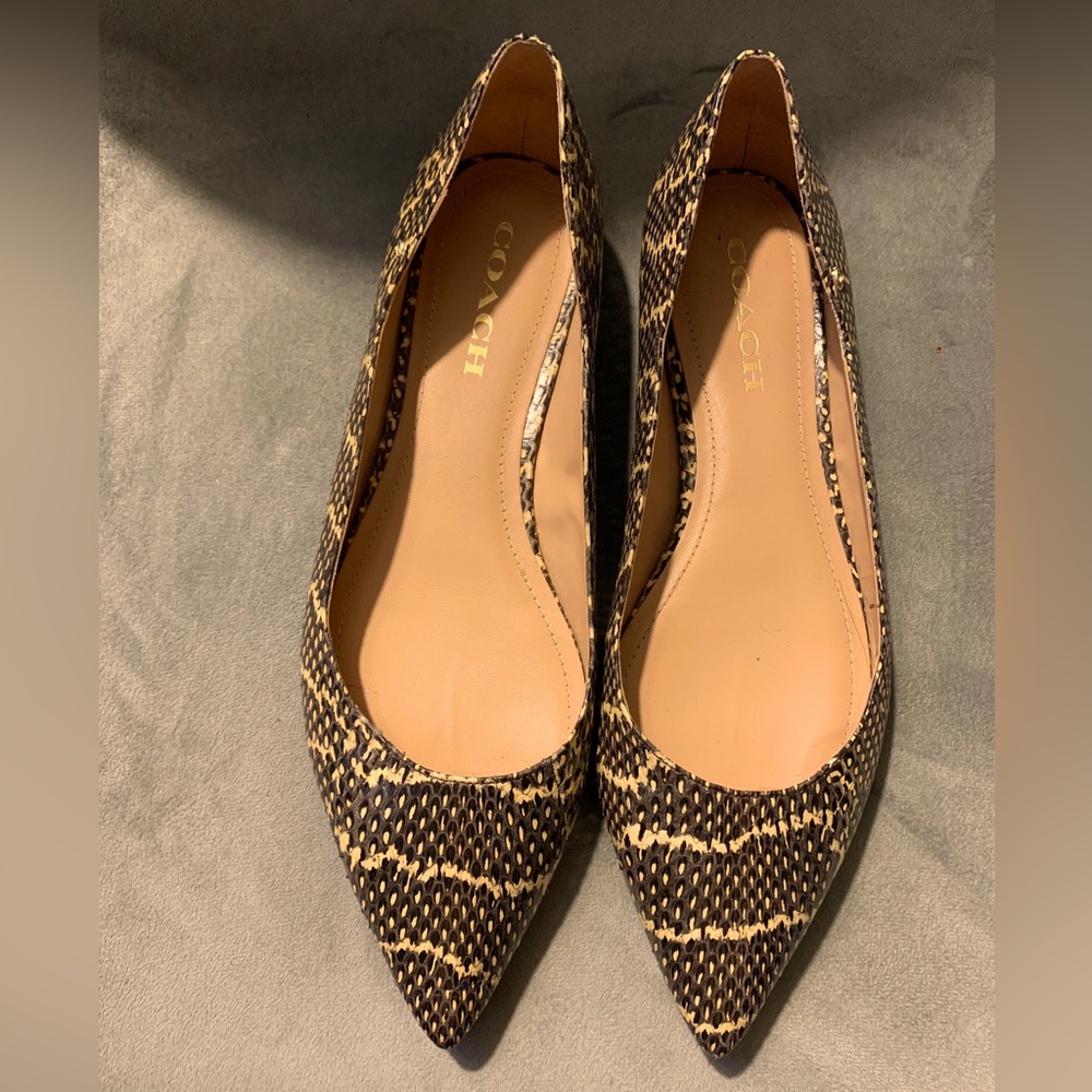 Coach vierra skimmer snake skin point toe ballet flats size 10 g5226 NWOB✨